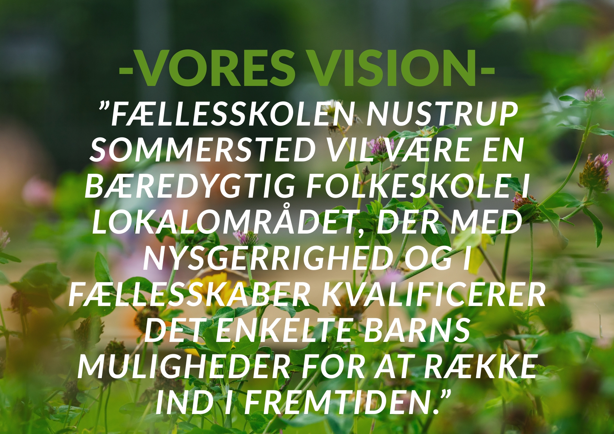 Vision